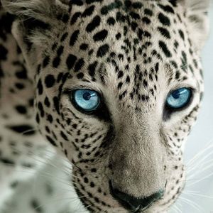 Meet your Posher, Kelli